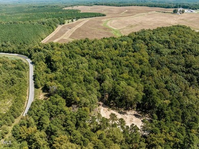 Discover 17.03 acres at Mayo Lake in the peaceful Mount Mayo - photo 6