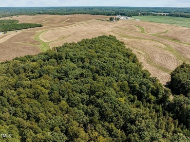 Discover 17.03 acres at Mayo Lake in the peaceful Mount Mayo - photo 8