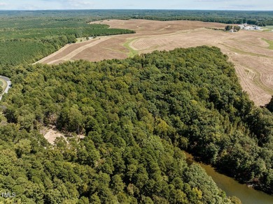 Discover 17.03 acres at Mayo Lake in the peaceful Mount Mayo - photo 9