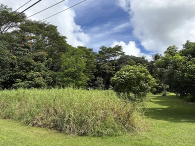 Build your dream home and guesthouse on this level lot and enjoy - photo 2