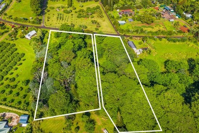 Build your dream home and guesthouse on this level lot and enjoy - photo 5