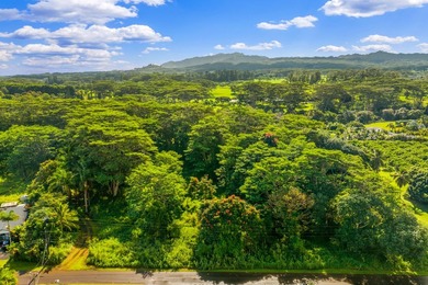 Build your dream home and guesthouse on this level lot and enjoy - photo 6