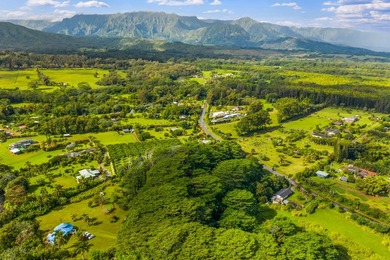 Build your dream home and guesthouse on this level lot and enjoy - photo 7