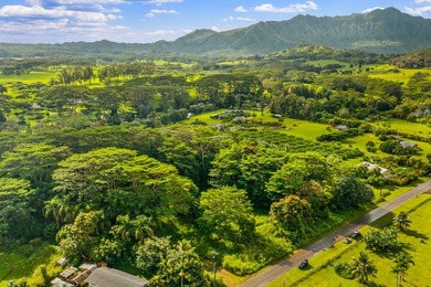 Northshore Kauai. Kuawa Road. Level 1.4 acres. Build a house and - photo 1