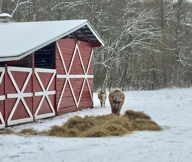 Toccoa River Home For Sale in Mineral Bluff Georgia