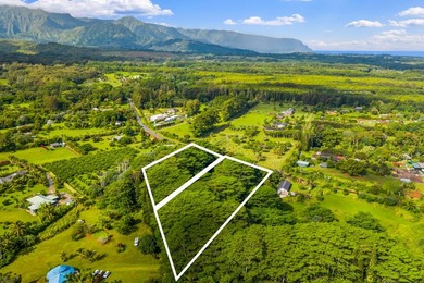 Northshore Kauai. Kuawa Road. Level 1.4 acres. Build a house and - photo 3