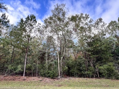 This exceptional 6.6-acre property offers a rare opportunity to - photo 3