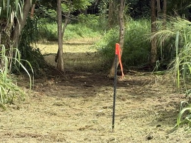 Northshore Kauai. Kuawa Road. Level 1.4 acres. Build a house and - photo 5