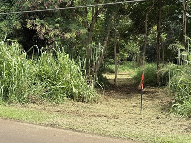 Northshore Kauai. Kuawa Road. Level 1.4 acres. Build a house and - photo 6