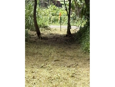 Northshore Kauai. Kuawa Road. Level 1.4 acres. Build a house and - photo 7