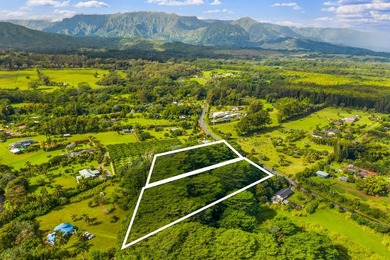 Northshore Kauai. Kuawa Road. Level 1.4 acres. Build a house and - photo 10