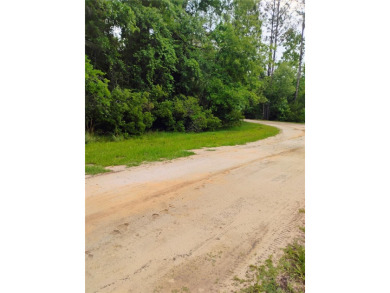 Lake Lot For Sale in Georgetown, Florida