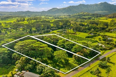 2 level lots on desirable Kuawa Road. TMK 4-5-2-13-4-1 AND - photo 3