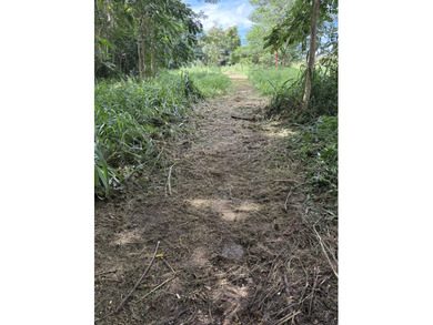 2 level lots on desirable Kuawa Road. TMK 4-5-2-13-4-1 AND - photo 4
