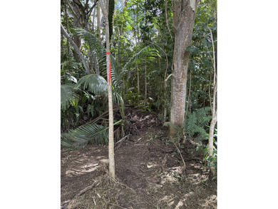 2 level lots on desirable Kuawa Road. TMK 4-5-2-13-4-1 AND - photo 7