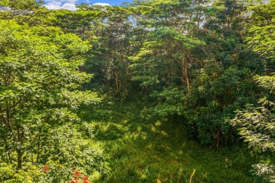2 level lots on desirable Kuawa Road. TMK 4-5-2-13-4-1 AND - photo 8