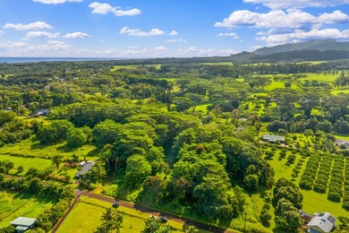 2 level lots on desirable Kuawa Road. TMK 4-5-2-13-4-1 AND - photo 9