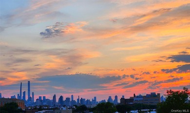 Facing West with a Skyline View, this Unit is Full of Natural - photo 2