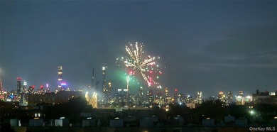 Facing West with a Skyline View, this Unit is Full of Natural - photo 3