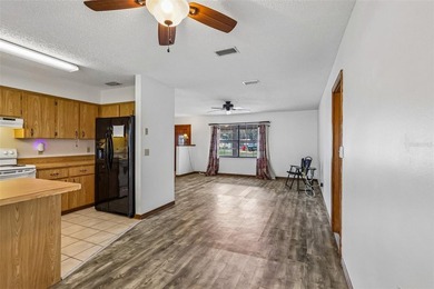 Located in the Tracy's Point area of Lake Panasoffkee, this 2 - photo 12