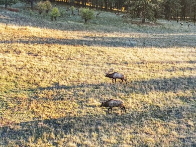 In the Nez Perce language, the word 'Powwaka' has been - photo 12