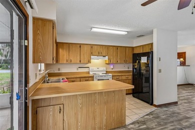 Located in the Tracy's Point area of Lake Panasoffkee, this 2 - photo 14
