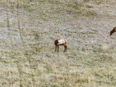 In the Nez Perce language, the word 'Powwaka' has been - photo 14