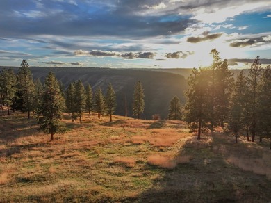 In the Nez Perce language, the word 'Powwaka' has been - photo 17