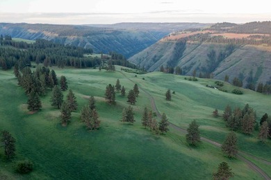In the Nez Perce language, the word 'Powwaka' has been - photo 18