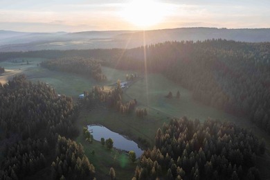 In the Nez Perce language, the word 'Powwaka' has been - photo 19