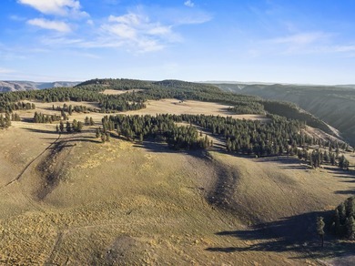 In the Nez Perce language, the word 'Powwaka' has been - photo 22