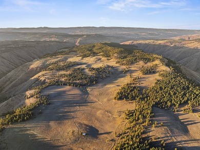 In the Nez Perce language, the word 'Powwaka' has been - photo 26
