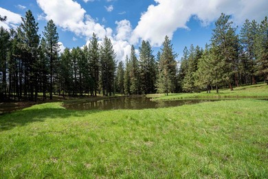 In the Nez Perce language, the word 'Powwaka' has been - photo 29