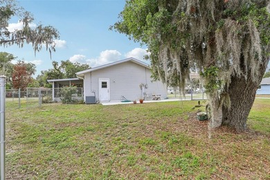 Located in the Tracy's Point area of Lake Panasoffkee, this 2 - photo 32