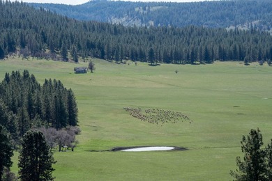 In the Nez Perce language, the word 'Powwaka' has been - photo 32