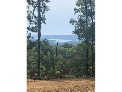 Looking to build your dream home or weekend lake getaway? Look - photo 3