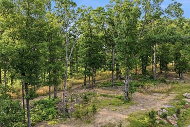 Looking to build your dream home or weekend lake getaway? Look - photo 6