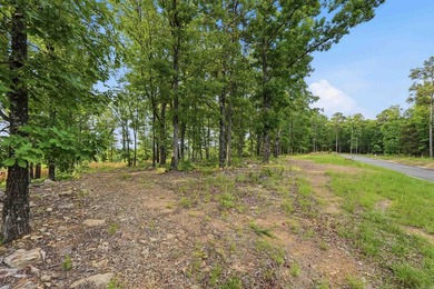 Looking to build your dream home or weekend lake getaway? Look - photo 7