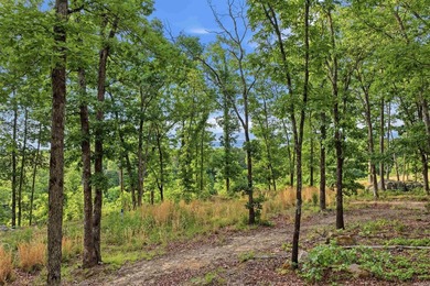 Looking to build your dream home or weekend lake getaway? Look - photo 8