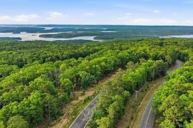 Looking to build your dream home or weekend lake getaway? Look - photo 10
