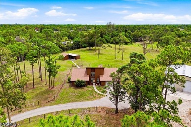 *** YOUR CABIN IN THE WOODS *** Discover one of Cape Coral's - photo 2