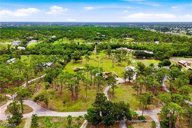 *** YOUR CABIN IN THE WOODS *** Discover one of Cape Coral's - photo 3