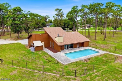 *** YOUR CABIN IN THE WOODS *** Discover one of Cape Coral's - photo 8