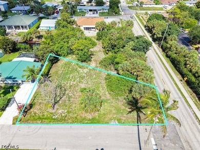 Build your dream home on this oversized canal-front lot located - photo 7
