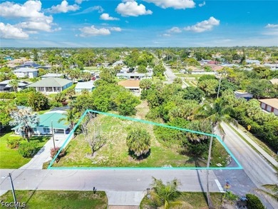 Build your dream home on this oversized canal-front lot located - photo 8