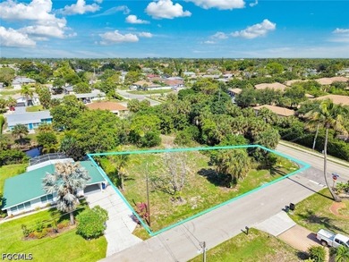 Build your dream home on this oversized canal-front lot located - photo 9