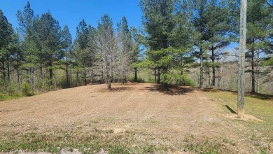 (private lake, pond, coastal) Lot For Sale in Crane Hill Alabama
