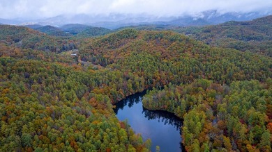 Heavily wooded and a large common boundary with USFS located - photo 1