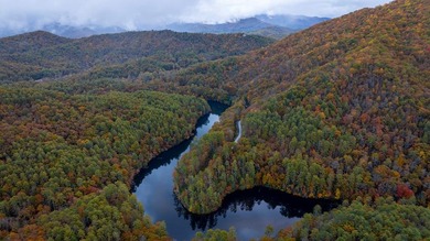 Heavily wooded and a large common boundary with USFS located - photo 2