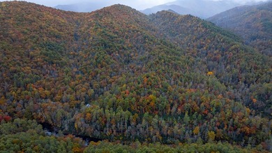 Heavily wooded and a large common boundary with USFS located - photo 3